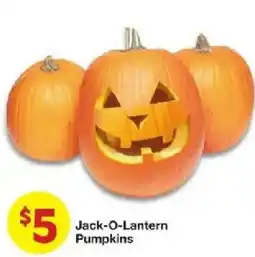 United Supermarkets Jack-O-Lantern Pumpkins offer