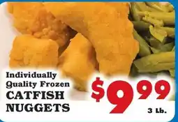 Foodland Individually Quality Frozen Catfish Nuggets offer