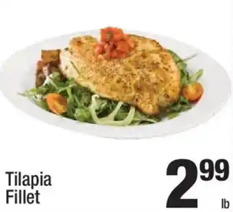 Tilapia Fillet