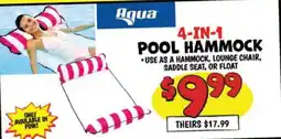 Ollie's Aqua 4-in-1 Pool Hammock offer