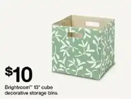 Target Brightroom 13" cube decorative storage bins offer