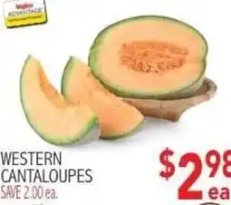 Ingles Markets Western Cantaloupes offer