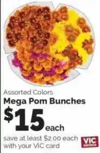 Harris Teeter Mega Pom Bunches offer