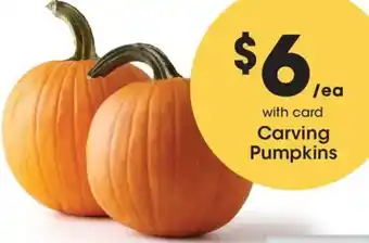 Ralphs Carving Pumpkins offer