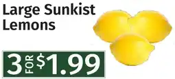 Caraluzzi's Large Sunkist Lemons offer