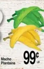 Superior Grocers Macho Plantains offer