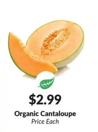 Organic Cantaloupe
