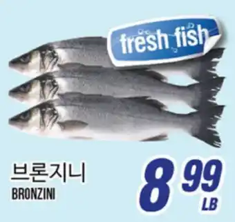 Joong Boo Market BRONZINI offer
