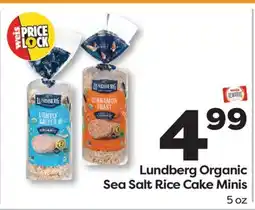Weis Markets Lundberg Organic Sea Salt Rice Cake Minis offer