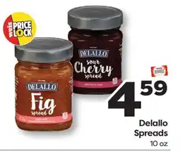 Weis Markets Delallo Spreads offer