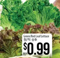 Hmart Green/Red Leaf Lettuce offer
