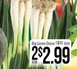 Hmart Big Green Onion offer