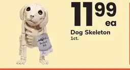 ACME Dog Skeleton offer
