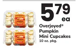 ACME Overjoyed Pumpkin Mini Cupcakes offer