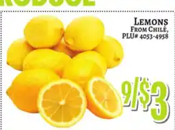 Trade Fair Supermarket LEMONS FROM CHILE offer