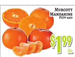 Trade Fair Supermarket MURCOTT MANDARINS offer