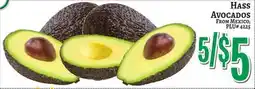 Trade Fair Supermarket HASS AVOCADOS offer