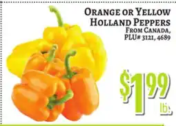 Trade Fair Supermarket Orange or Yellow Holland Peppers offer