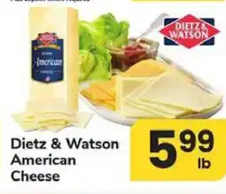 Safeway Dietz & Watson American Cheese offer