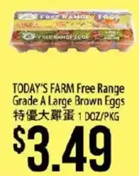 Today's Farm free range grade a large brown eggs