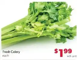 Family Fare Fresh Celery offer