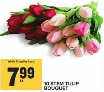 Food Lion 10 Stem Tulip Bouquet offer