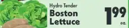 Marino's Supermarket Hydro Tender Boston Lettuce offer