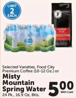 Food City Misty Mountain Spring Water offer