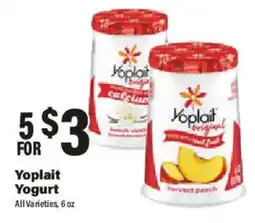Big Y Yoplait Yogurt offer