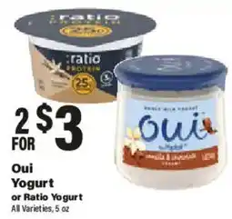Big Y Oui Yogurt or Ratio Yogurt offer