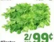 Tony’s Fresh Market Cilantro offer