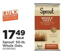 Mills Fleet Farm Sprout whole oats offer