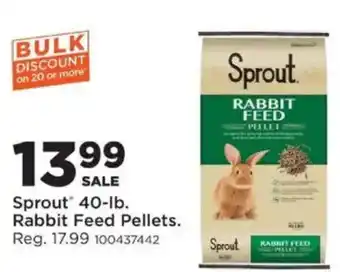 Sprout rabbit feed pellets