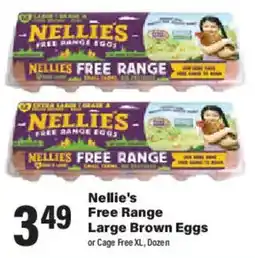 Big Y Nellie's Free Range Large Brown Eggs offer