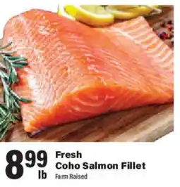 Big Y Fresh Coho Salmon Fillet offer