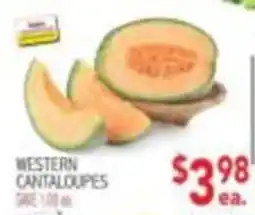 Ingles Markets Western Cantaloupes offer