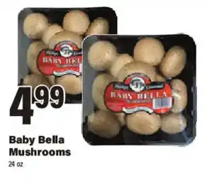Baby Bella Mushrooms