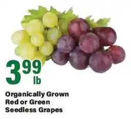 Big Y Organically Grown Red or Green Seedless Grapes offer