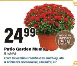 Big Y Patio Garden Mums offer