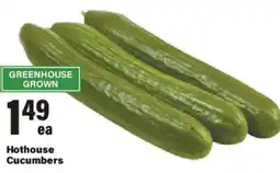 Big Y Hothouse Cucumbers offer