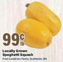 Big Y Locally Grown Spaghetti Squash offer
