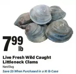 Big Y Live Fresh Wild Caught Littleneck Clams offer