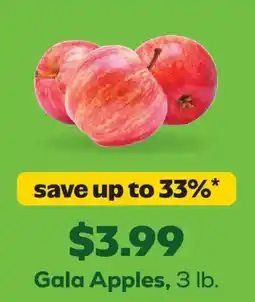 Grocery Outlet Gala Apples offer