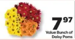 Weis Markets Value Bunch of Daisy Poms offer