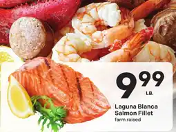 Coborn's Laguna Blanca Salmon Fillet offer