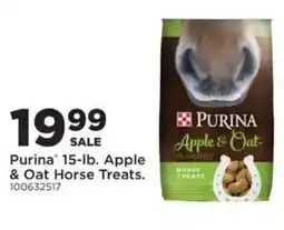 Mills Fleet Farm Purina Apple & Oat Horse Treats offer