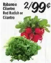 El Super Red Radish or Cilantro offer