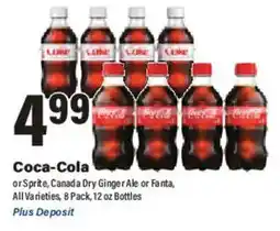 Big Y Coca-Cola offer