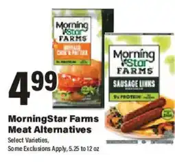 Big Y Morningstar Farms Meat Alternatives offer