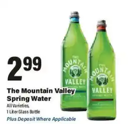 Big Y The Mountain Valley Spring Water offer